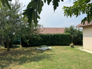 Photo de galerie - Taillages de haie 