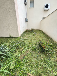 Photo de galerie - Elagage et coupe d'arbres