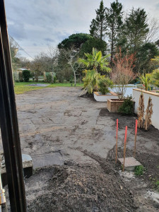 Photo de galerie - Pose de palmier et nivellement de terrain.