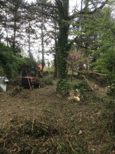 Photo de galerie - Tonte de pelouse - Débroussaillage