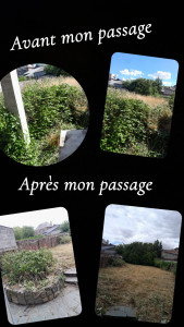 Photo de galerie - Débroussaillage , tonte 