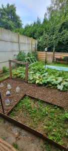 Photo de galerie - Autre coin potager de réalisé 