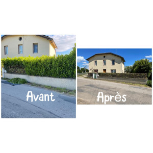 Photo de galerie - Haies de laurier