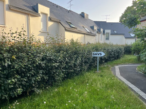 Photo de galerie - Taille de haie Tante de pelouse avant intervention