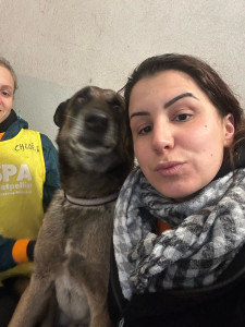 Photo de galerie - SPA bénévole animaux ??