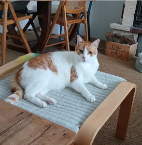 Photo de galerie - Le beau Mario