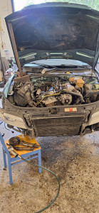 Photo de galerie - S'il te plaît