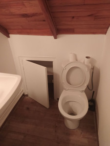 Photo de galerie - Rénovation meilleur papier rénovation mur collé étoile peinture et toilette wc rénovation installation de 9 sanitaire et peinture générale