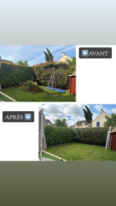 Photo de galerie - Elagage et coupe d'arbres