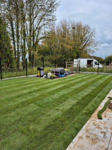 Photo de galerie - Gazon de placage 