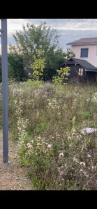 Photo de galerie - Débroussaillage 