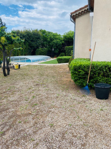 Photo de galerie - Taille de haies et d'arbustes