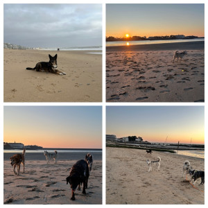 Photo de galerie - Balades plage