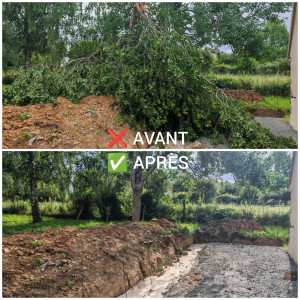 Photo de galerie - Élagage d'un arbre tombé suite à une tempête