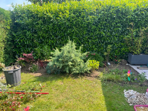 Photo de galerie - Paysagiste - Aménagement du jardin