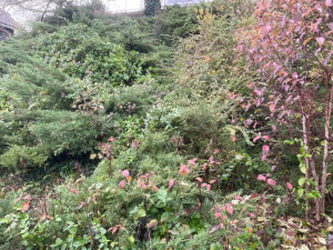 Photo de galerie - Paysagiste - Aménagement du jardin