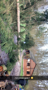 Photo de galerie - Après coupe d’arbre 