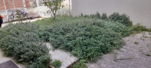 Photo de galerie - Jardinage 