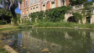 Photo de galerie - C&D Entretien est intervenu sur ce domaine pour l'arrachage des lierre et débrouillage au tour des bassins.