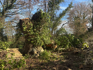 Photo de galerie - Toujours pendant Chantier de l’armes de 1 m de diamètre