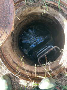 Photo de galerie - Après curage et extraction de la graisse.