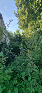 Photo de galerie - Remise en état jardin, avec abattage arbres tombés sur ligne électrique. 
AVANT