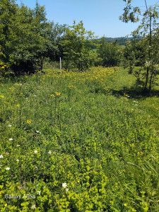 Photo de galerie - Avant 