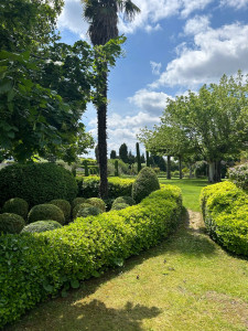 Photo de galerie - Taille d'arbustes et de massifs 