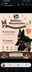 Photo de galerie - Garderez chien à domicile 
