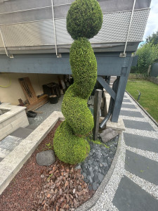 Photo de galerie - Taille 