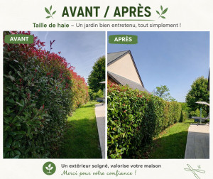Photo de galerie - Taille de haie avant et après 