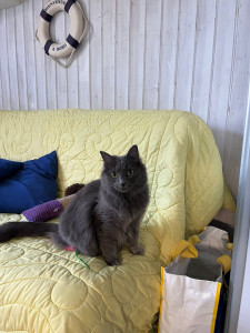 Photo de galerie - Holly