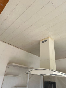 Photo de galerie - Peinture blanche plafond lambris 