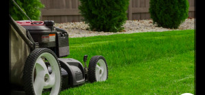 Photo de galerie - Tonte pelouse 