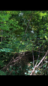 Photo de galerie - Avant 