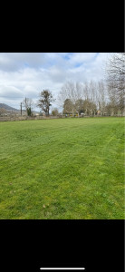 Photo de galerie - Tonte 
