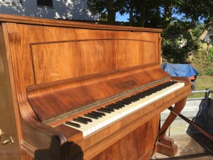 Photo de galerie - Piano / Clavier