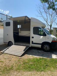 Photo de galerie - Pension chevaux