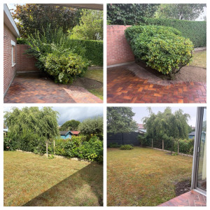 Photo de galerie - Elagage et coupe d'arbres