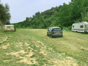 Photo de galerie - Tonte de pelouse - Débroussaillage