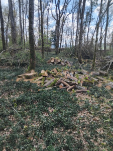 Photo de galerie - Mon profil 