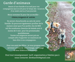 Photo de galerie - Offre de service