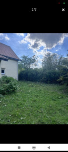 Photo de galerie - Tonte de pelouse - Débroussaillage