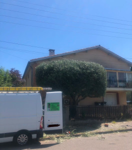 Photo de galerie - Taille d’oliviers 