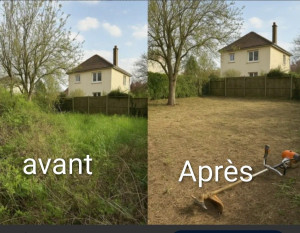 Photo de galerie - Tonte de pelouse - Débroussaillage