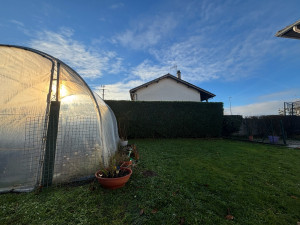 Photo de galerie - Taille de haie 