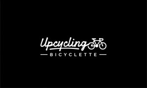 Photo de galerie - Entretien et réparation Cycles en itinérance 