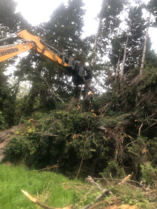 Photo de galerie - ?