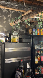 Photo de galerie - Pose et installation de caméra surveillance au sein d’un restaurant 