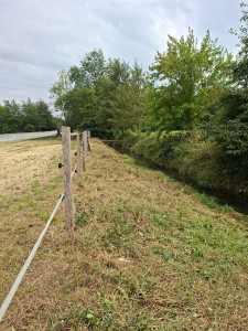 Photo de galerie - Tonte de pelouse - Débroussaillage